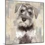 Miniature Schnauser-Keri Rodgers-Mounted Art Print