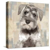 Miniature Schnauser-Keri Rodgers-Stretched Canvas