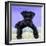 Miniature Schnauzer 10 Week Old Puppy-null-Framed Premium Photographic Print