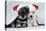 Miniature Schnauzer Puppies (6 Weeks Old)-null-Stretched Canvas