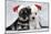 Miniature Schnauzer Puppies (6 Weeks Old)-null-Mounted Photographic Print