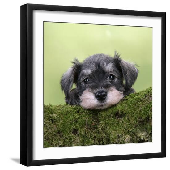 Photographic Print, , large