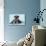 Miniature Schnauzer Puppy (6 Weeks Old)-null-Photographic Print displayed on a wall