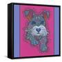 Miniature Schnauzer-Denny Driver-Framed Stretched Canvas