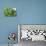 Miniature Succulent Plants-kenny001-Photographic Print displayed on a wall