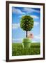 Miniature Tree in Pot-Lew Robertson-Framed Premium Photographic Print