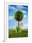 Miniature Tree in Pot-Lew Robertson-Framed Photographic Print