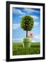 Miniature Tree in Pot-Lew Robertson-Framed Photographic Print