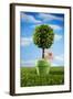 Miniature Tree in Pot-Lew Robertson-Framed Photographic Print