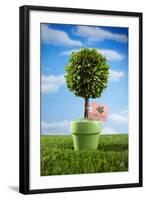 Miniature Tree in Pot-Lew Robertson-Framed Photographic Print