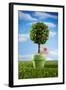 Miniature Tree in Pot-Lew Robertson-Framed Photographic Print