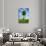 Miniature Tree in Pot-Lew Robertson-Stretched Canvas displayed on a wall