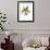 Miniature turnips, 1995-Margaret Ann Eden-Framed Giclee Print displayed on a wall