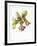 Miniature turnips, 1995-Margaret Ann Eden-Framed Giclee Print