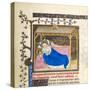 Miniature with Nativity of Christ-French-Stretched Canvas