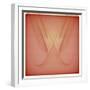 Minimal Art 8239-Rica Belna-Framed Giclee Print