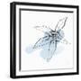 Minimal Starfish II-Chris Paschke-Framed Art Print
