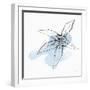 Minimal Starfish II-Chris Paschke-Framed Art Print
