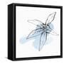 Minimal Starfish II-Chris Paschke-Framed Stretched Canvas
