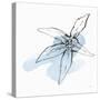 Minimal Starfish II-Chris Paschke-Stretched Canvas