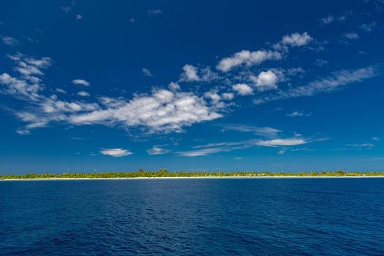 Photo, , large
