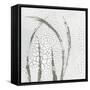 Minimalism III-Elena Ray-Framed Stretched Canvas