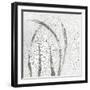 Minimalism III-Elena Ray-Framed Art Print