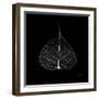 Minimalism in Black I-Patricia Pinto-Framed Art Print