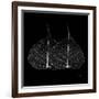 Minimalism in Black II-Patricia Pinto-Framed Art Print