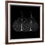 Minimalism in Black II-Patricia Pinto-Framed Art Print