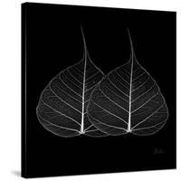 Minimalism in Black II-Patricia Pinto-Stretched Canvas