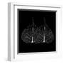 Minimalism in Black II-Patricia Pinto-Framed Art Print