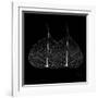 Minimalism in Black II-Patricia Pinto-Framed Art Print