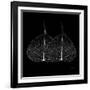 Minimalism in Black II-Patricia Pinto-Framed Art Print