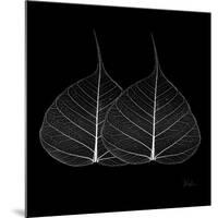 Minimalism in Black II-Patricia Pinto-Mounted Art Print