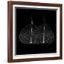 Minimalism in Black II-Patricia Pinto-Framed Art Print