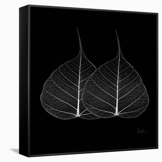 Minimalism in Black II-Patricia Pinto-Framed Stretched Canvas