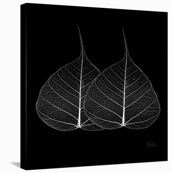 Minimalism in Black II-Patricia Pinto-Stretched Canvas