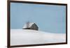 Minimalist Barn-Brooke T. Ryan-Framed Photographic Print