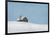 Minimalist Barn-Brooke T. Ryan-Framed Photographic Print