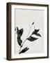 Minimalist Black Flower I-Eline Isaksen-Framed Art Print