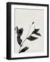 Minimalist Black Flower I-Eline Isaksen-Framed Art Print