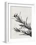 Minimalist Black Flower II-Eline Isaksen-Framed Art Print