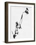 Minimalist Black Wild Flower I-Eline Isaksen-Framed Art Print