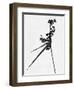 Minimalist Black Wild Flower III-Eline Isaksen-Framed Art Print