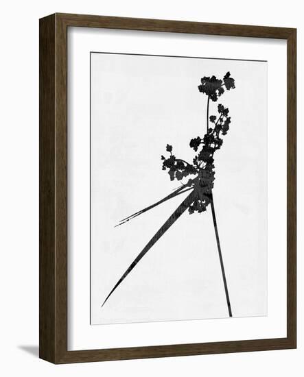 Minimalist Black Wild Flower III-Eline Isaksen-Framed Art Print