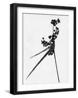 Minimalist Black Wild Flower III-Eline Isaksen-Framed Art Print