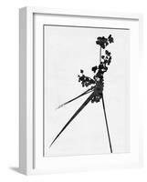 Minimalist Black Wild Flower III-Eline Isaksen-Framed Art Print