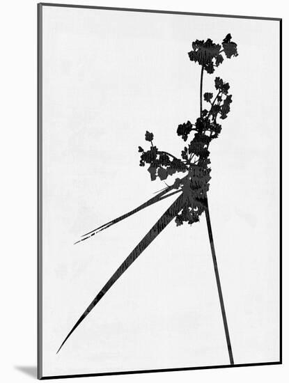 Minimalist Black Wild Flower III-Eline Isaksen-Mounted Art Print
