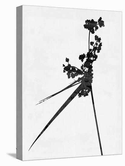 Minimalist Black Wild Flower III-Eline Isaksen-Stretched Canvas